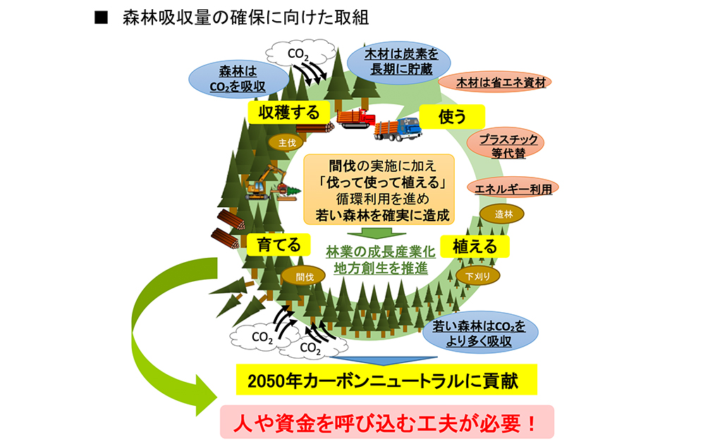 森林と脱炭素をめぐる情勢について