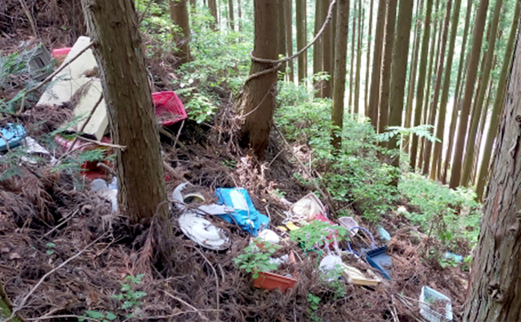 今起きている山の環境問題とは？