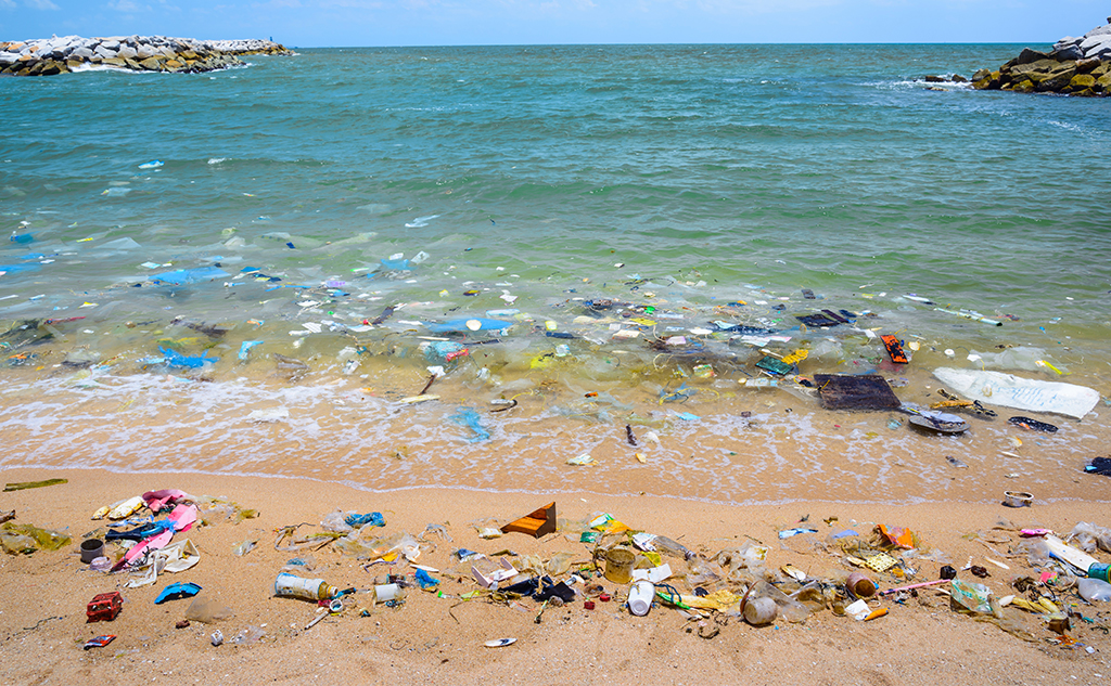 海洋プラスチックごみ