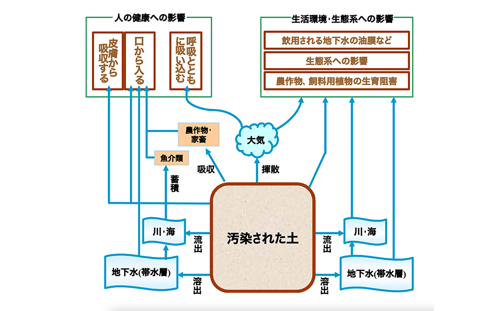 土壌汚染の影響