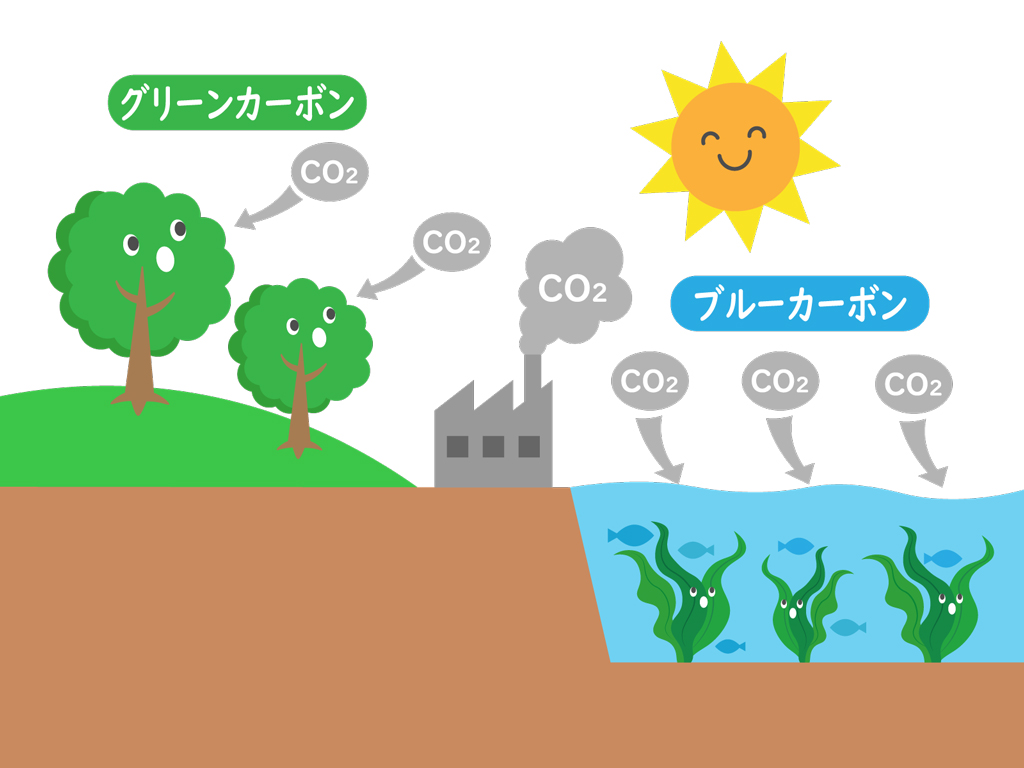 ブルーカーボンとグリーンカーボン