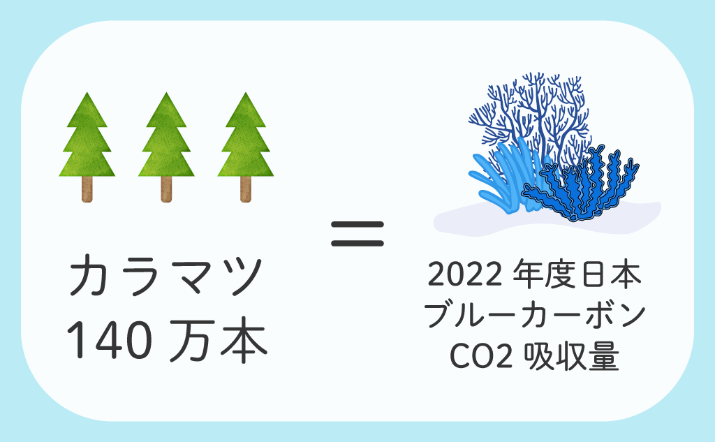 2022年度日本国内のブルーカーボンCO2吸収量