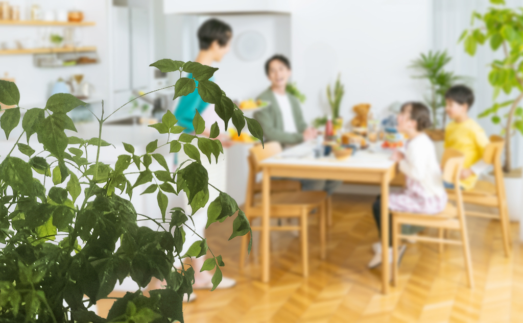 体の芯からあたたまる 丸ごと冬野菜レシピ_ダイニングテーブル