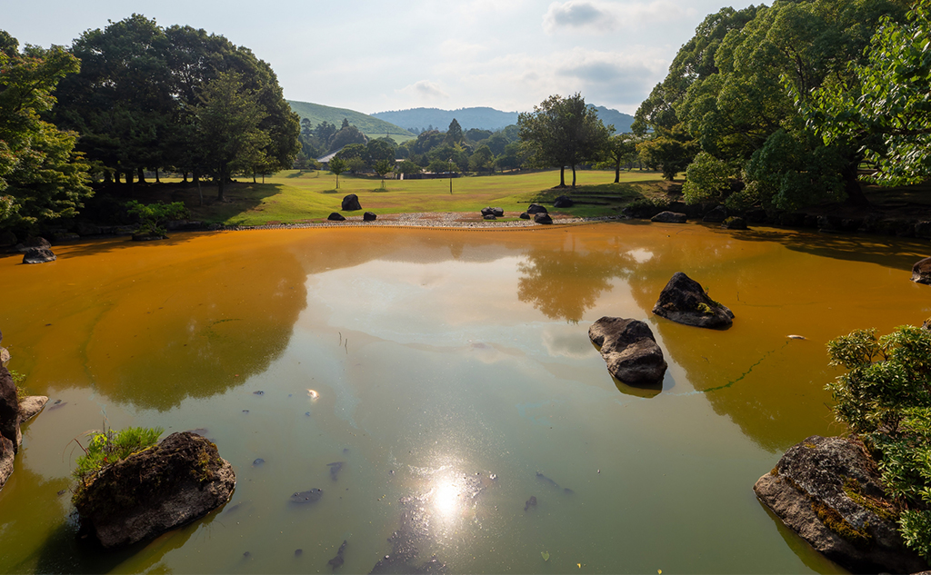 微生物で環境問題を解決！_微生物が切り札となる環境問題