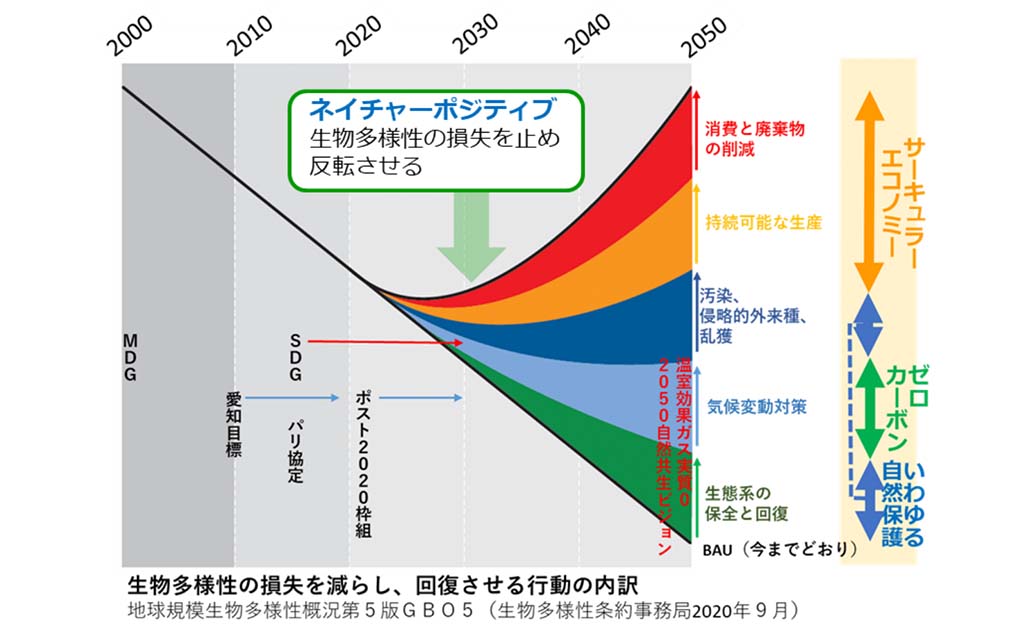 1分で学べる_ネイチャーポジティブ画像1