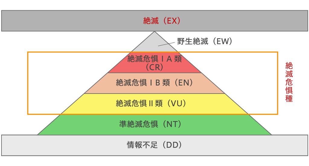 絶滅危惧種のランク